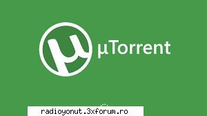 download setup torrent